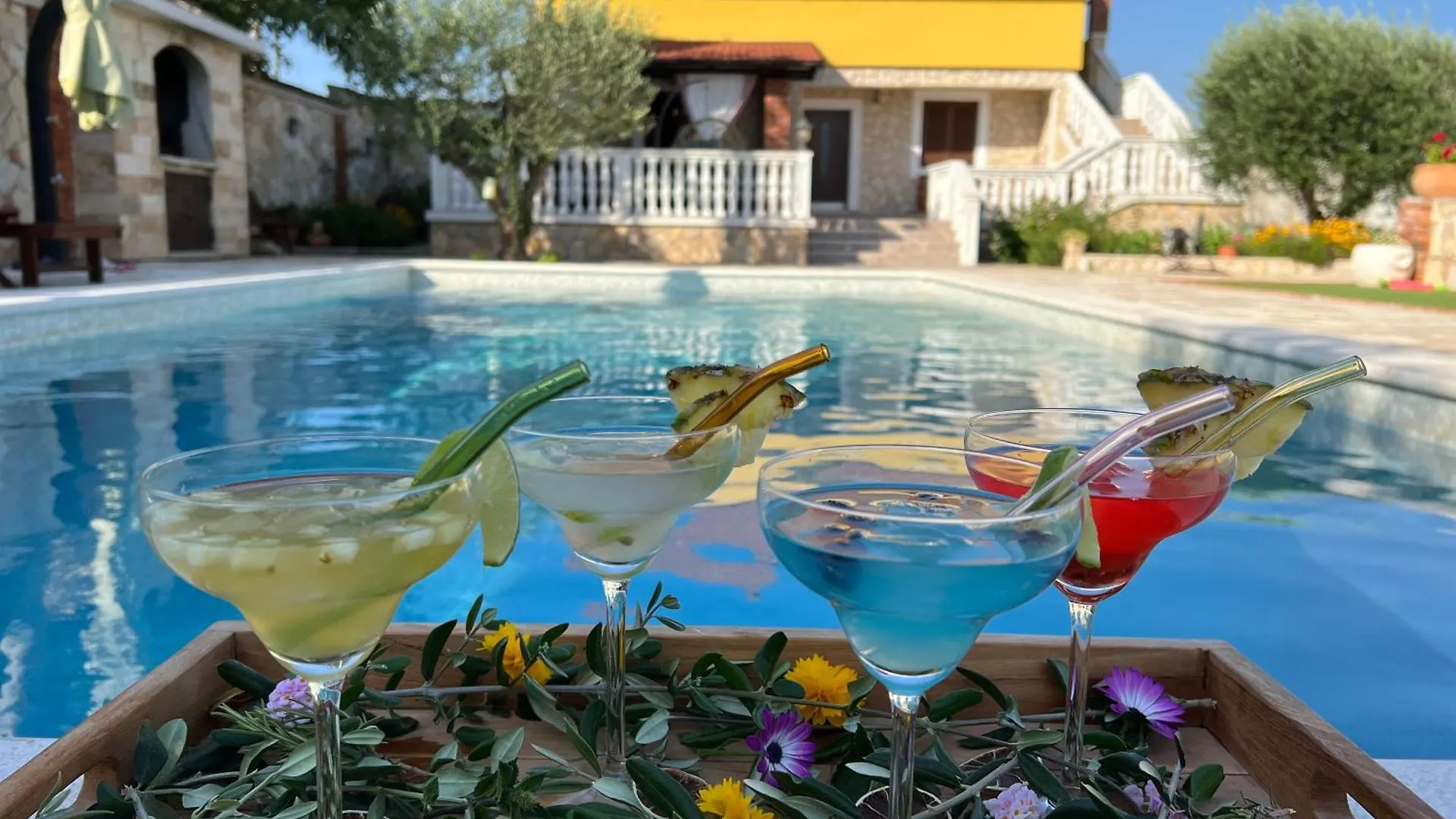 Villa Holiday Home Iva With Pool Sukosan